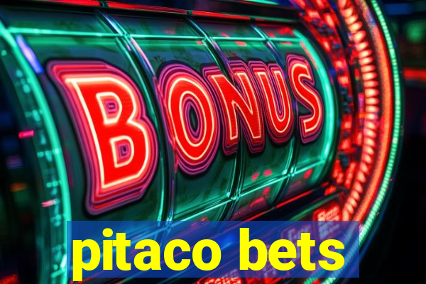 pitaco bets